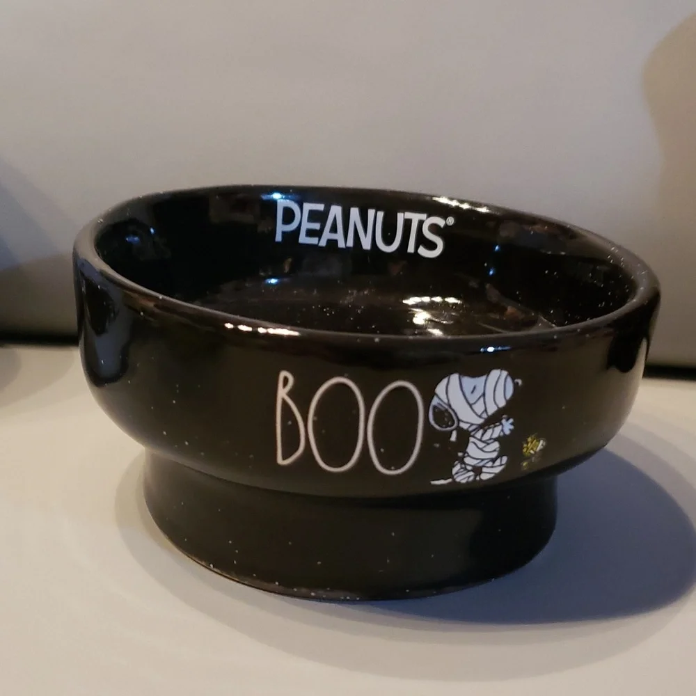 Peanuts Rae Dunn Boo Snoopy Mummy small pet bowl NEW